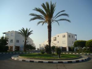 Gallery image of Yialos Luxury Apartments in Perivolia