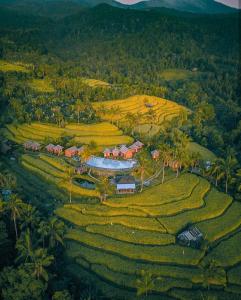una vista aérea de un pueblo en un campo de arroz en Puri Sunny Camp, en Munduk