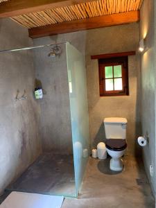 a bathroom with a toilet and a glass shower at Vineyard Cottage at Bosman Wines in Wellington