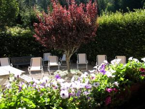 Zahrada ubytování Hôtel Bellachat