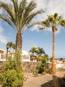two palm trees and a street light in front of a house at Monte Rojo in Corralejo