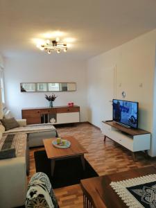 un soggiorno con divano e TV di Apartman EDEN No 1 a Teslić