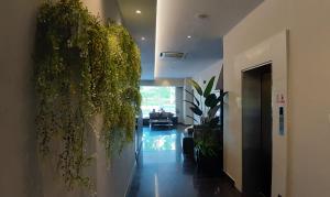 Foto sihtkohas Johor Bahru asuva majutusasutuse MIICO Hotel @ Mount Austin galeriist