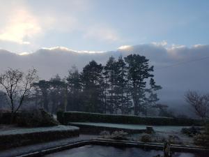 a view of a garden with a pond and trees at Great Trethew Manor Hotel & Self Catering Lodges in Liskeard