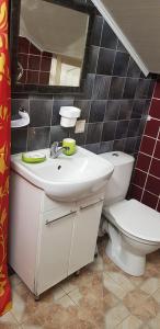 y baño con lavabo, aseo y espejo. en Vasaros apartamentas Nr3 en Palanga