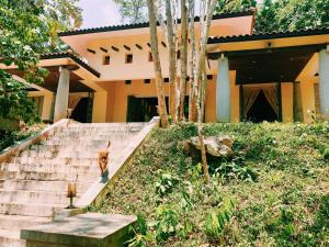 a building with stairs in front of a house at Havana Pool Villa in Ban Huai Yai