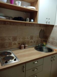 Eldhús eða eldhúskrókur á Divcibare apartmani Gavrić