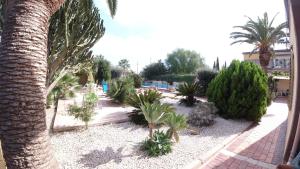 une cour avec de nombreuses plantes et un palmier dans l'établissement Casa Nostra Villa Cellini, à Villaggio Mosè