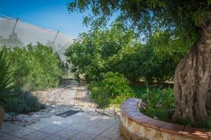 a garden with a tree and a brick walkway at Apartamento Gloria in Polop