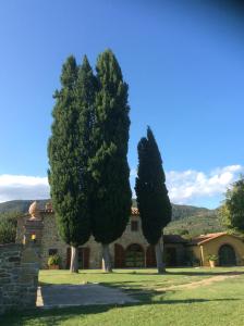 two trees in front of a house at VILLA Podere IL GIARDINO in Castiglion Fiorentino