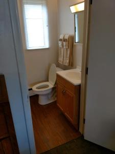 a bathroom with a toilet and a sink and a mirror at The Ohio Motel in Bath
