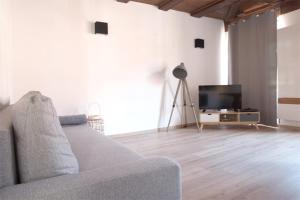 a living room with a couch and a flat screen tv at Petite Venise Grand Duplex Turenne Hyper Centre in Colmar