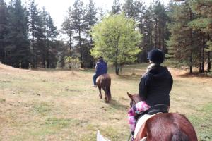 two people are riding horses in a field at Dona Guest House - Horse Riding in Koprivshtitsa