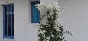 Fotografie z fotogalerie ubytování Nikolas Apartments v destinaci Amoudara Herakliou