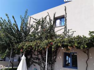a building with a tree in front of it at Nikolas Apartments in Amoudara Herakliou