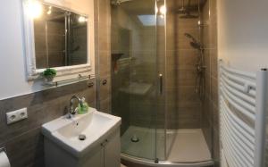 een badkamer met een douche, een wastafel en een toilet bij Ferienwohnungen Harz Wernigerode in Wernigerode
