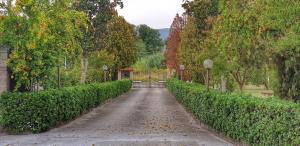 a road in a park with a gate and bushes at RICCI Rooms in Roccasecca