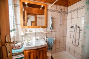 a bathroom with a sink and a shower and a mirror at Authentic Countryside Villa with Hot tub in Veliki Kamen +60 photos