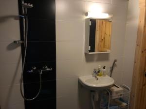 a bathroom with a sink and a shower with a mirror at Kenttäniemi Cottages in Sonka