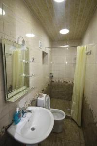 un bagno con lavandino e WC di Guest House ELENA a Kutaisi
