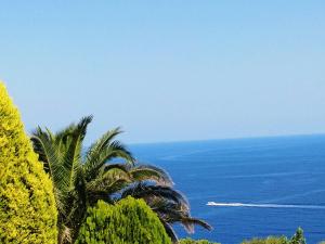 Fotografie z fotogalerie ubytování Aegean Sea Villa Skiathos v destinaci Skiathos