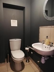 a bathroom with a toilet and a sink at 6 beili priory in Abergavenny