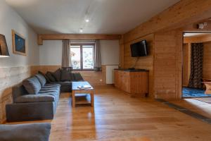 TV a/nebo společenská místnost v ubytování Balcons du Bettex