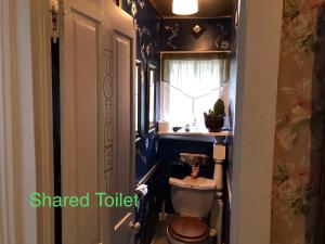 a small bathroom with a toilet and a window at Historic Windsor in Silver Plume +46 photos