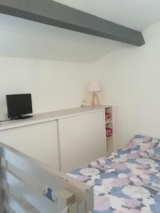 um quarto com uma cama e uma televisão na parede em Marendes Des Palombes 2 em Le Barcarès