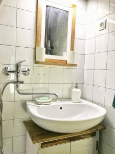 ein Badezimmer mit einem weißen Waschbecken und einem Spiegel in der Unterkunft Peaceful Nature Cabin Jolly in Mozirje