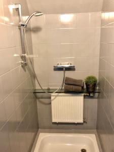 a bathroom with a shower and a toilet and a sink at Gîte d'Anthisnes in Anthisnes