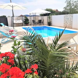 patio z basenem i kwiatami w obiekcie Apartments"Nika" with private pool w mieście Galovac
