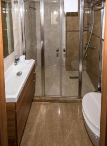 La salle de bains est pourvue d'une douche, d'un lavabo et de toilettes. dans l'établissement BGuest Hotel & Residence, à Istanbul