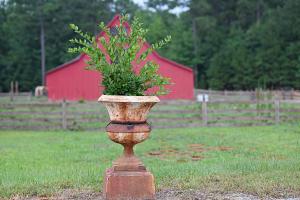 a vase with a plant in the middle of a field at Coulter Farmstead in Washington