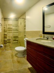 La salle de bains est pourvue de toilettes, d'un lavabo et d'une douche. dans l'établissement Hotel Alamos Del Parque, à Pereira
