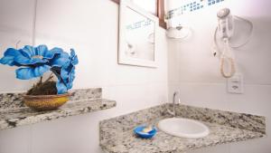 un baño con lavabo y una planta en un mostrador en Pousada dos Corais, en Itaúnas