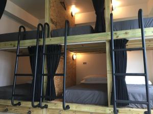 מיטה או מיטות קומותיים בחדר ב-Wave backpackers