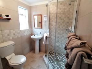 een badkamer met een douche, een toilet en een wastafel bij Squirrels Corner in Montagu