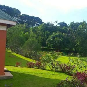 un patio verde con arbustos y árboles y una casa en Philo Leisure Gardens, en Kalangala