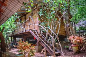 Zahrada ubytování Golden Rainbow Guest House + 21 fotografií