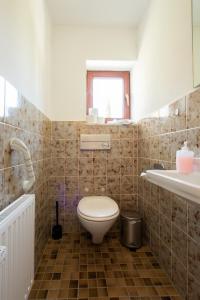 a bathroom with a toilet and a sink at FeWo Meersburg in Meersburg