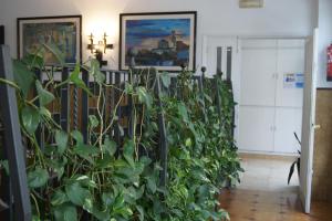Fotografie z fotogalerie ubytování Hostal Sanmar v destinaci Figueres