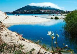vistas a una playa con gente en la playa en Apartamentos SEOANE, en Finisterre