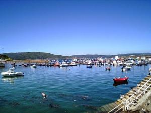 un puerto lleno de muchos barcos en el agua en Apartamentos SEOANE, en Finisterre 6 fotos más