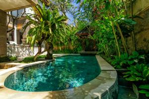 a swimming pool in a garden with a palm tree at Laki Uma Villa - Male Only in Canggu
