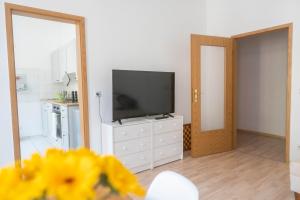 TV a/nebo společenská místnost v ubytování Große 3 Zimmer Wohnung mit Netflix in zentraler Lage