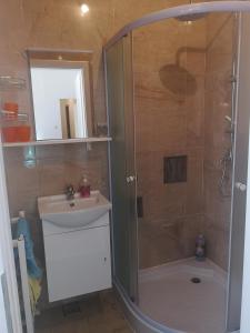 a bathroom with a shower and a sink at DAVID-IN 3 in Zagreb