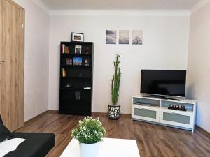 salon z telewizorem z płaskim ekranem na stojaku w obiekcie Šiauliai Central Spot Apartment - Draugystes pr. w Szawlach