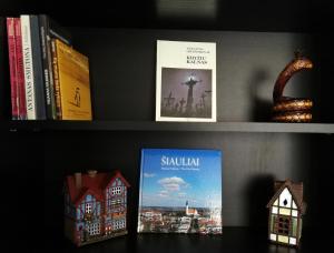 a book shelf with books and a shelf with books at Šiauliai Central Spot Apartment - Draugystes pr. in Šiauliai +6 photos