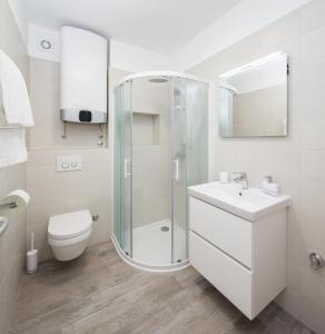 a bathroom with a shower and a toilet and a sink at Apartments Alba 1 in Slatine +26 photos
